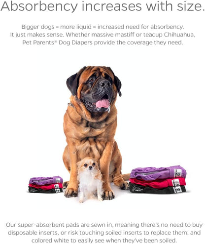 Premium Washable Dog Diapers & Extendrs, (3Pack) of Female Dog Diapers & Dog Diapers Male (X-Small, Princess)