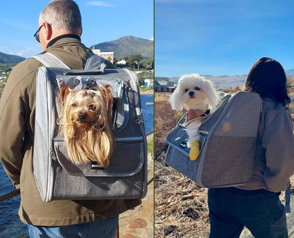 Cat Backpack Carrier, Small Dog Backpack Carrier, Pet Backpack Carrier for Cats Dogs Puppy Kitten, Cat Carrier Bag Carrying for Travel Hiking Bike Riding Walking Outdoor,Light Gray
