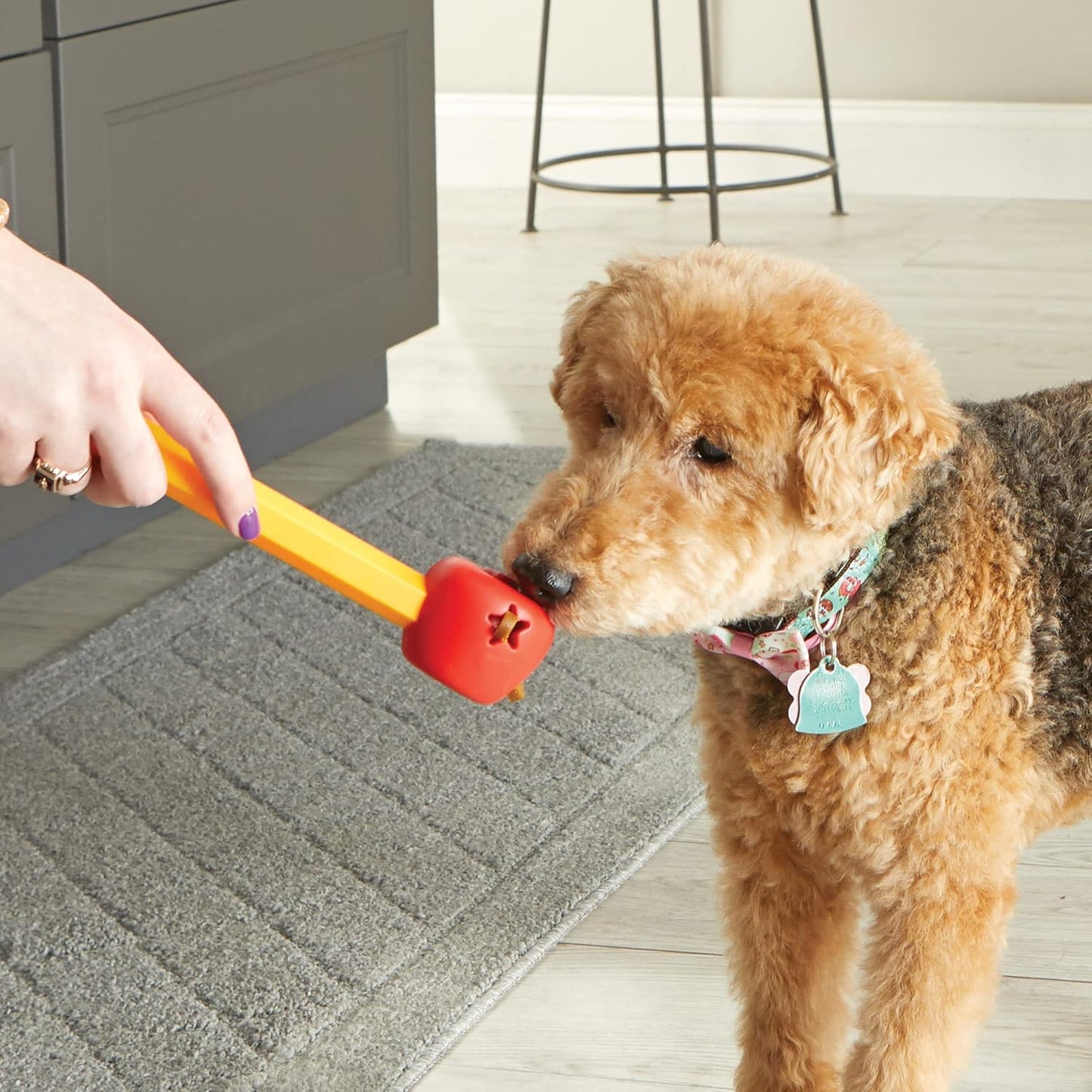 Pooch School Training Set - 15 Piece Set Training Games for Dogs, Games and Toys for Dogs