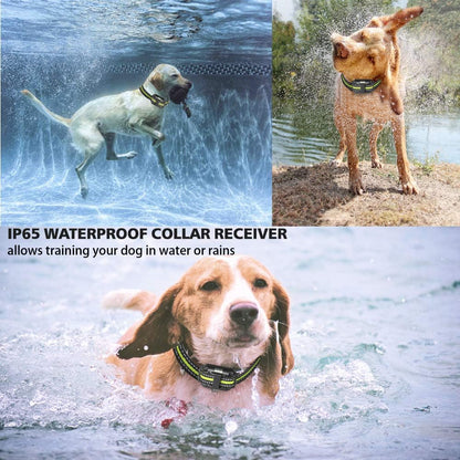 Dog Training Collar with Three Training Modes, Waterproof Training Collar, Long Range up to 2600Ft