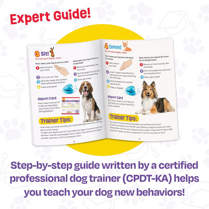 Pooch School Training Set - 15 Piece Set Training Games for Dogs, Games and Toys for Dogs
