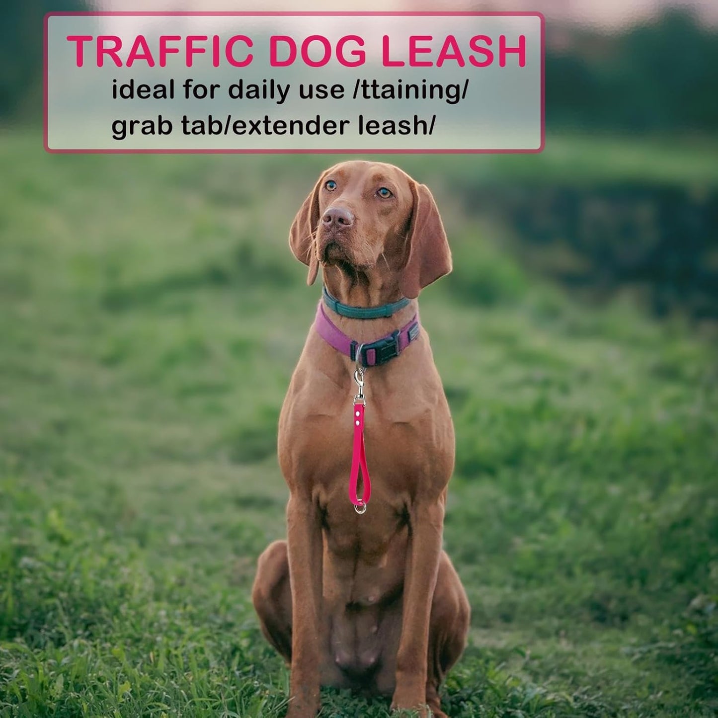 Short Dog Leash - 9 Inch Dogs Lead Grab Tab Heavy Duty Waterproof PVC Dog Training Traffic Leashes for Safety Control Behavior Correction Hiking Backup & All Breeds (Pink, 9'')
